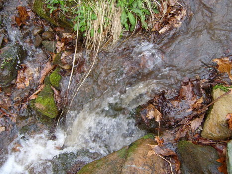 Flowing	Creek