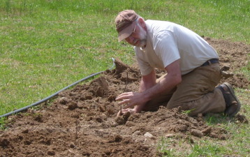 Ed Planting Raspberries