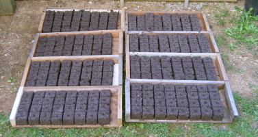 Soil Blocks Ready to Plant