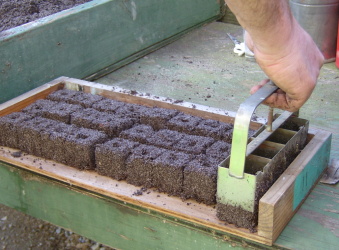 Putting Soil Blocks on Tray