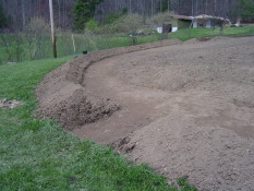 Bare Ground
