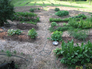 Early Compass Garden