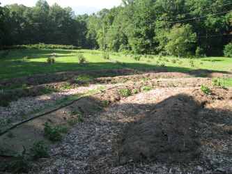 Early Compass Garden