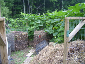 Compost Bin