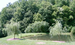 Big Pond