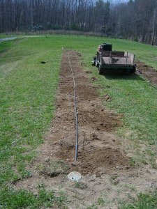 Bare Planting Row