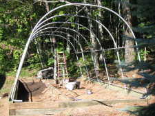Growing Bed in Hoop House