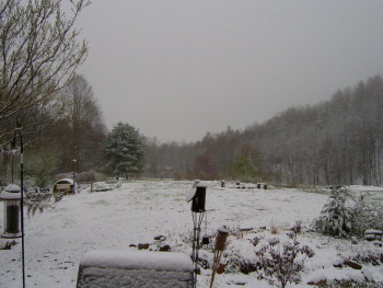 Farm in Late Spring