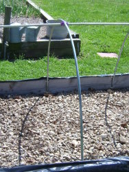 Single Conduit Hoop